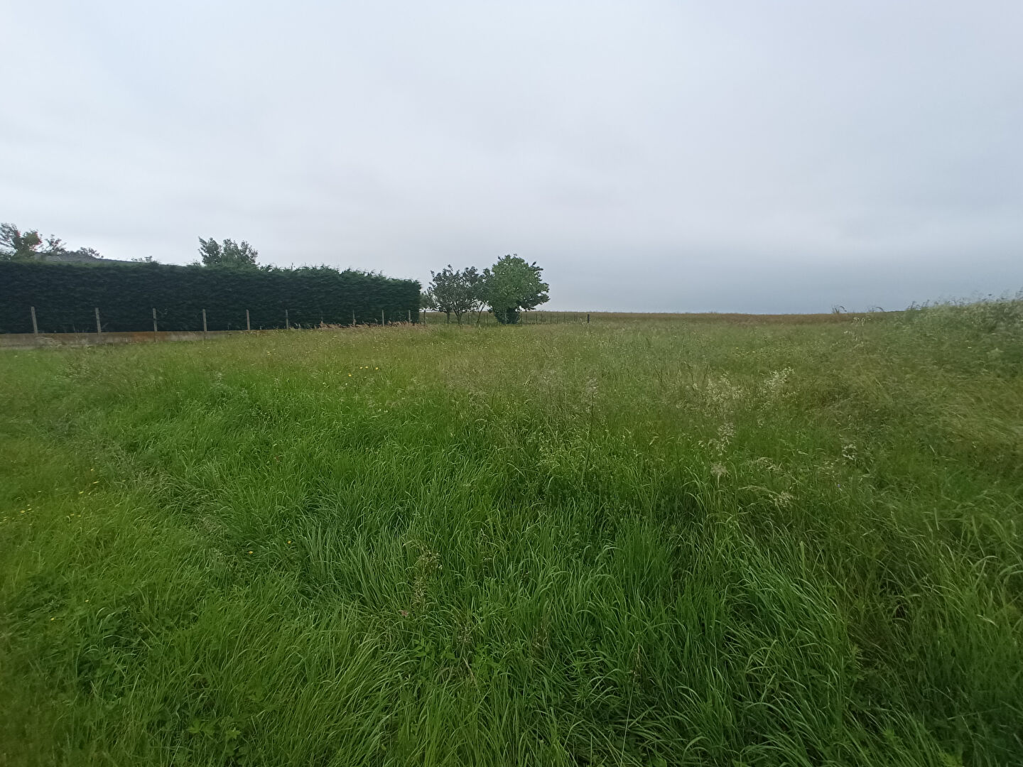 Photo Terrain à bâtir proche Vendôme image 2/6