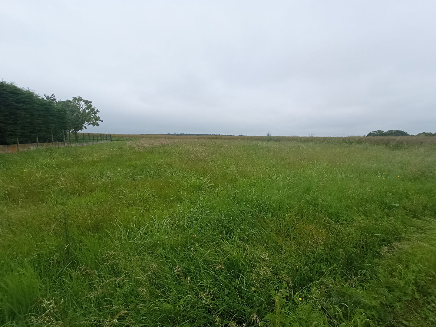 Photo Terrain à bâtir proche Vendôme image 3/6