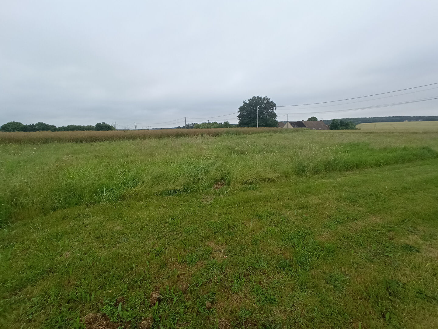 Photo Terrain à bâtir proche Vendôme image 5/6