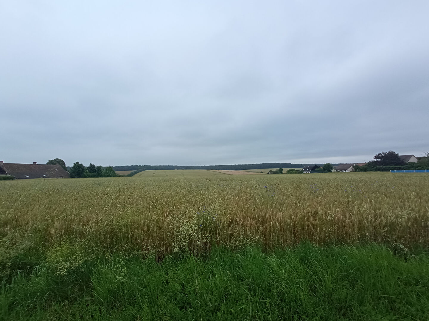 Photo Terrain à bâtir proche Vendôme image 6/6