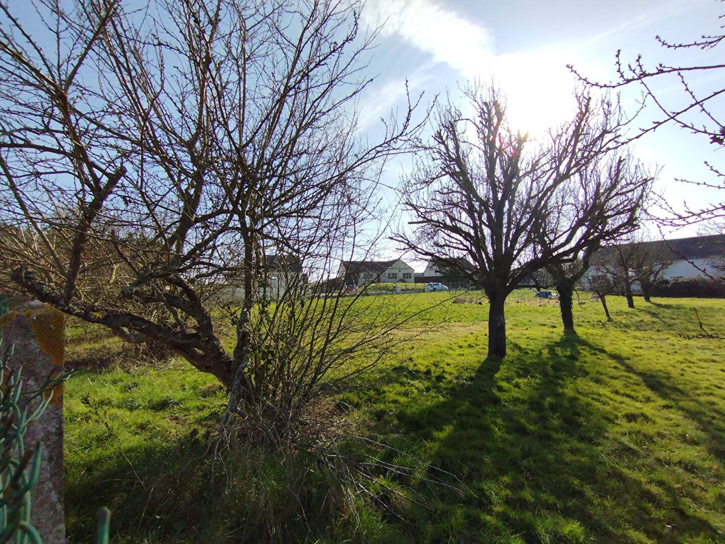 Photo Terrain Pezou 1500 m2 image 3/4