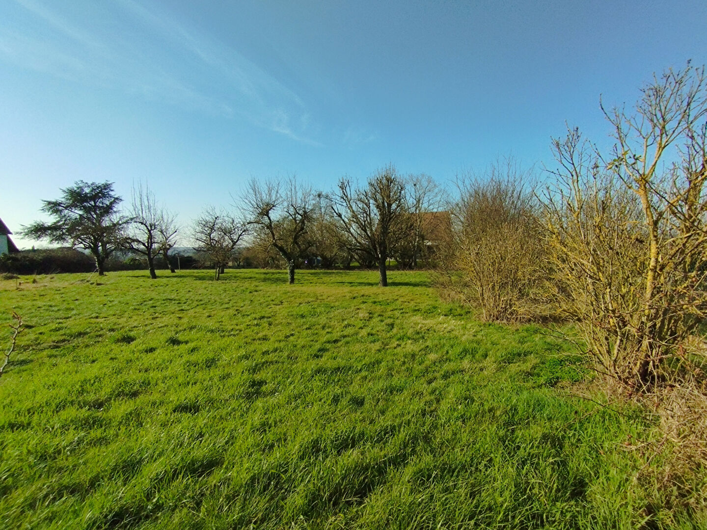 Photo Terrain Pezou 1500 m2 image 4/4