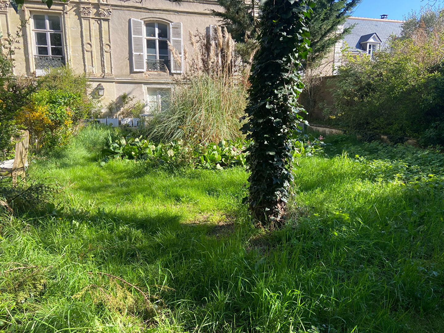 Photo Exceptionnelle et unique Demeure du XIX ème siècle centre hyper centre Vendôme.. image 4/6