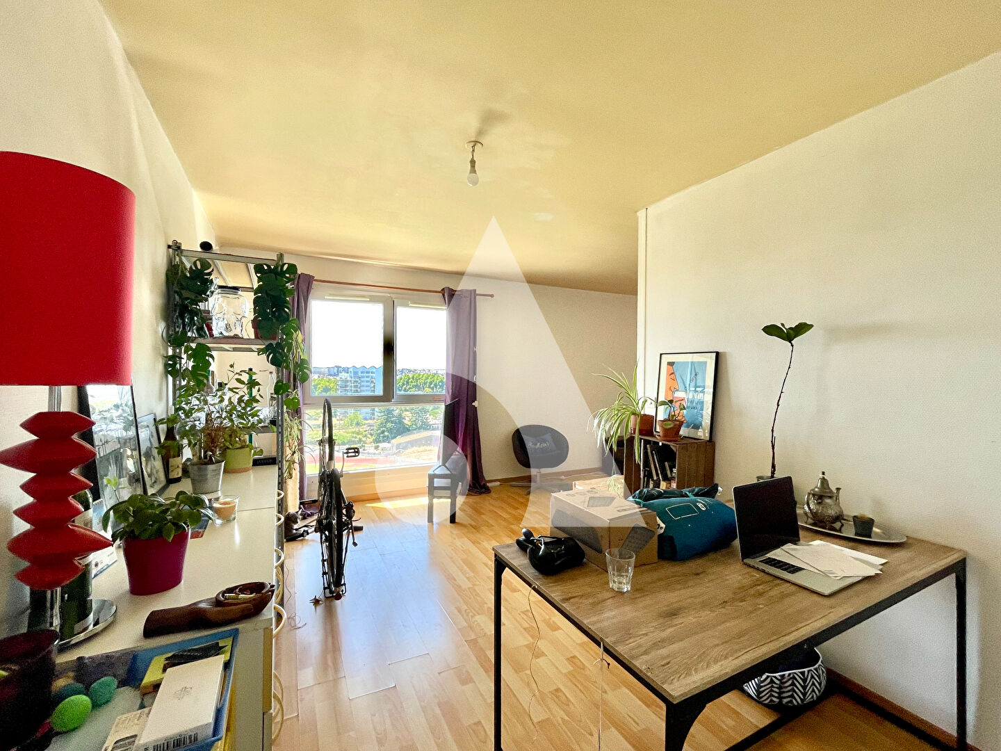 Photo Appartement Nantes Beaulieu - 2 pièces 51 m² - Caveau - Parking - Locataire en place image 2/6