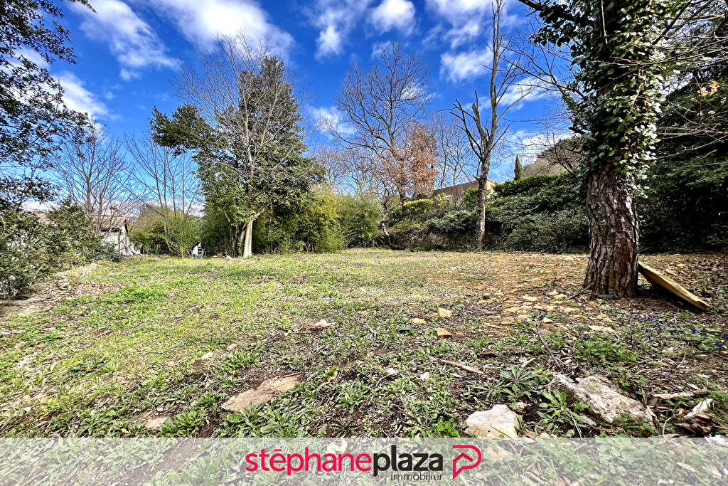 Agence immobilière de Stéphane Plaza Immobilier Orange