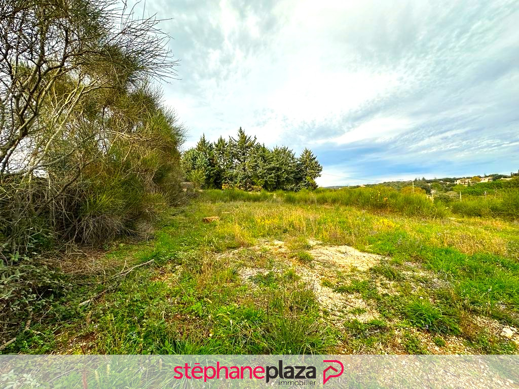 Agence immobilière de Stéphane Plaza Immobilier Orange
