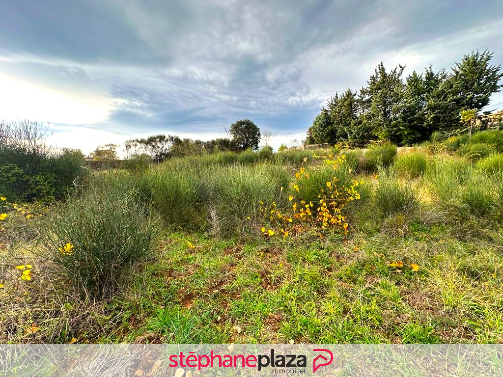 Agence immobilière de Stéphane Plaza Immobilier Orange