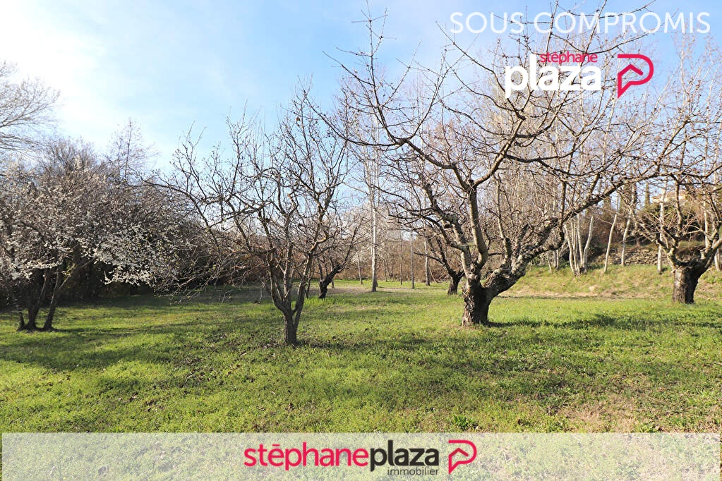 Agence immobilière de Stéphane Plaza Immobilier Orange