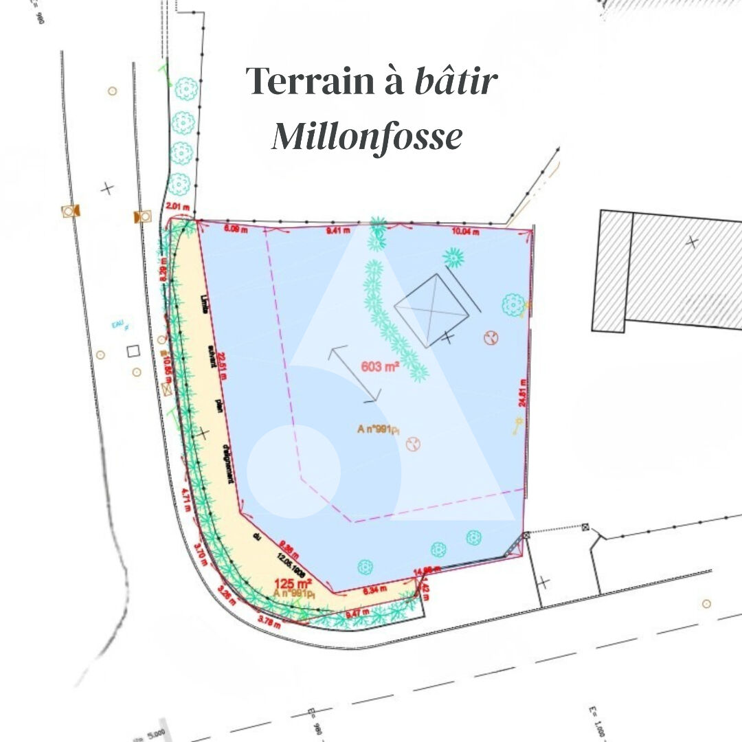 Agence immobilière de Stéphane Plaza Immobilier Saint-Amand-les-Eaux - Stephane Plaza Immobilier Saint Amand Les Eaux