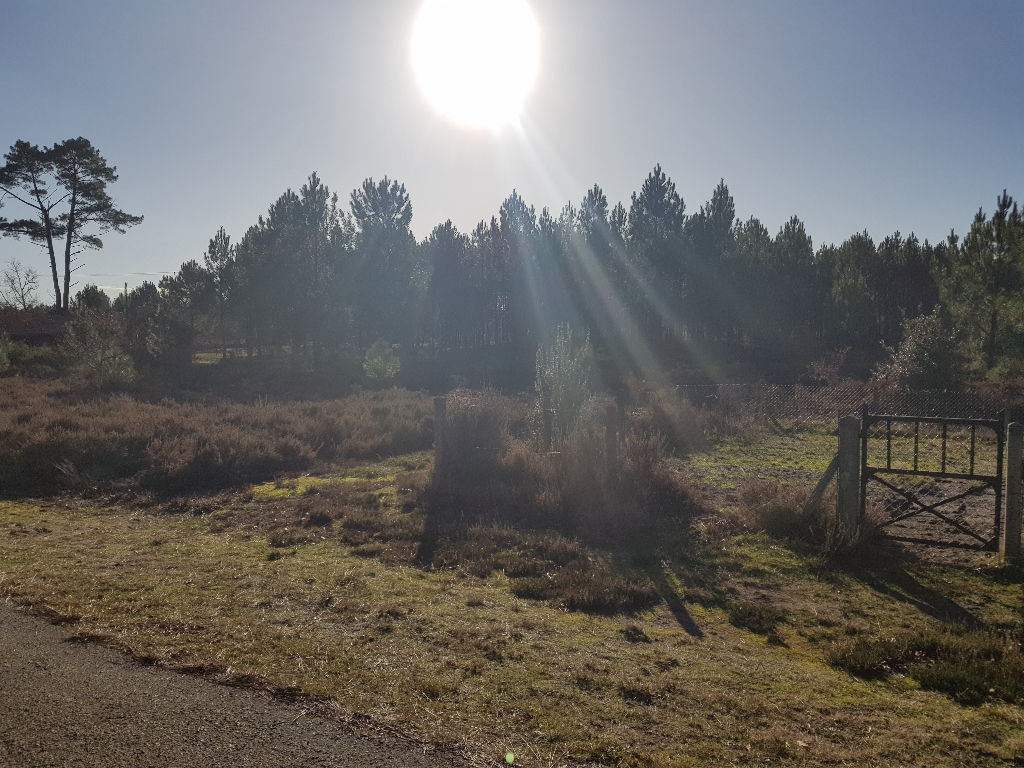 Terrain Onesse Laharie 7383 m2