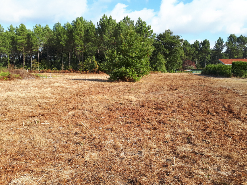 Terrain viabilisé de 1500 m² à TALLER (40260)