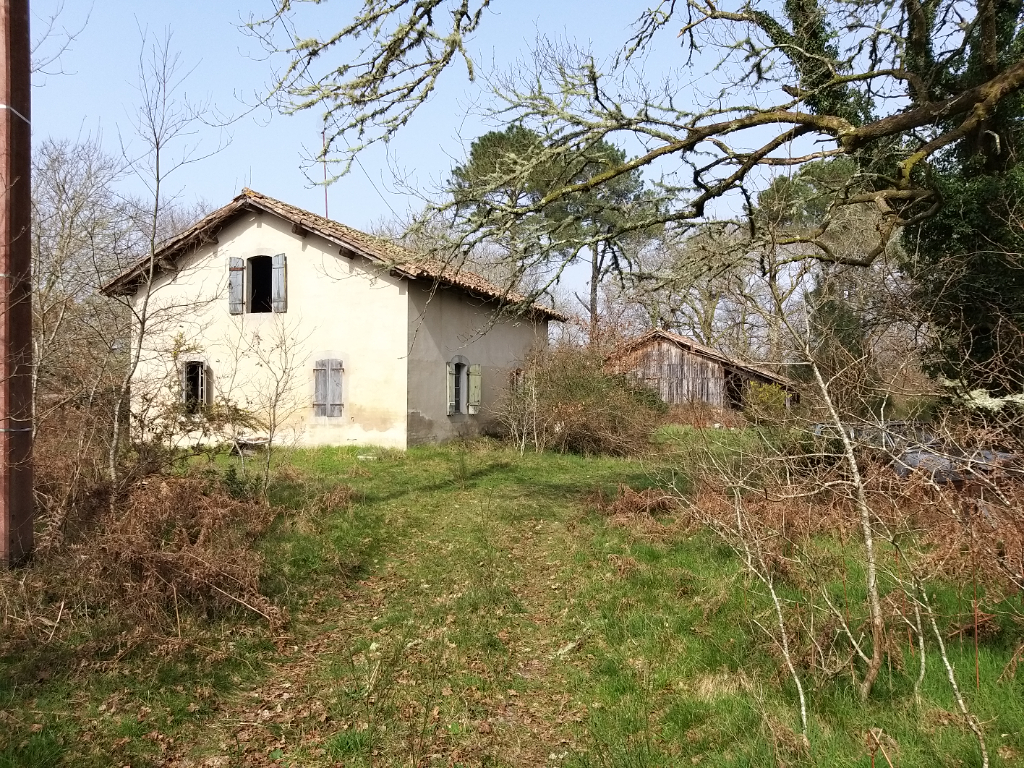 LALUQUE (40465 )  Maison à restaurer