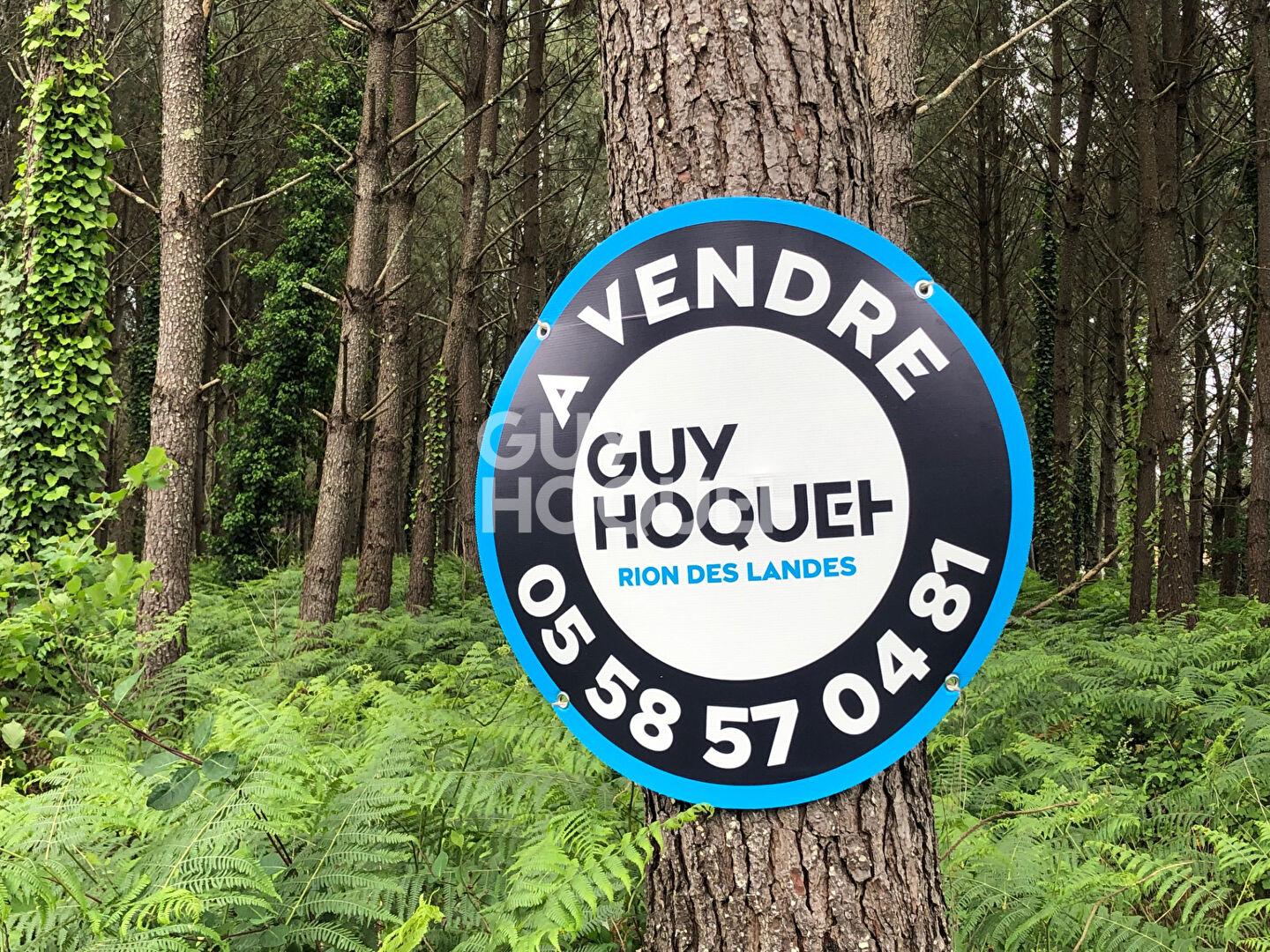 A VENDRE : terrain à bâtir (LOT 2) à RION DES LANDES (40370)