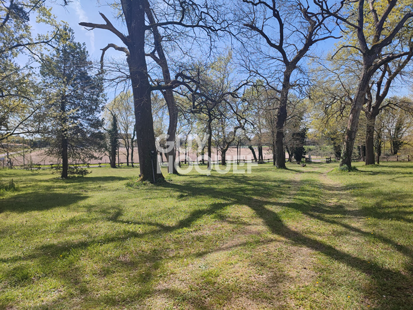 Belle maison landaise à vendre à SAINT-YAGUEN (40400)