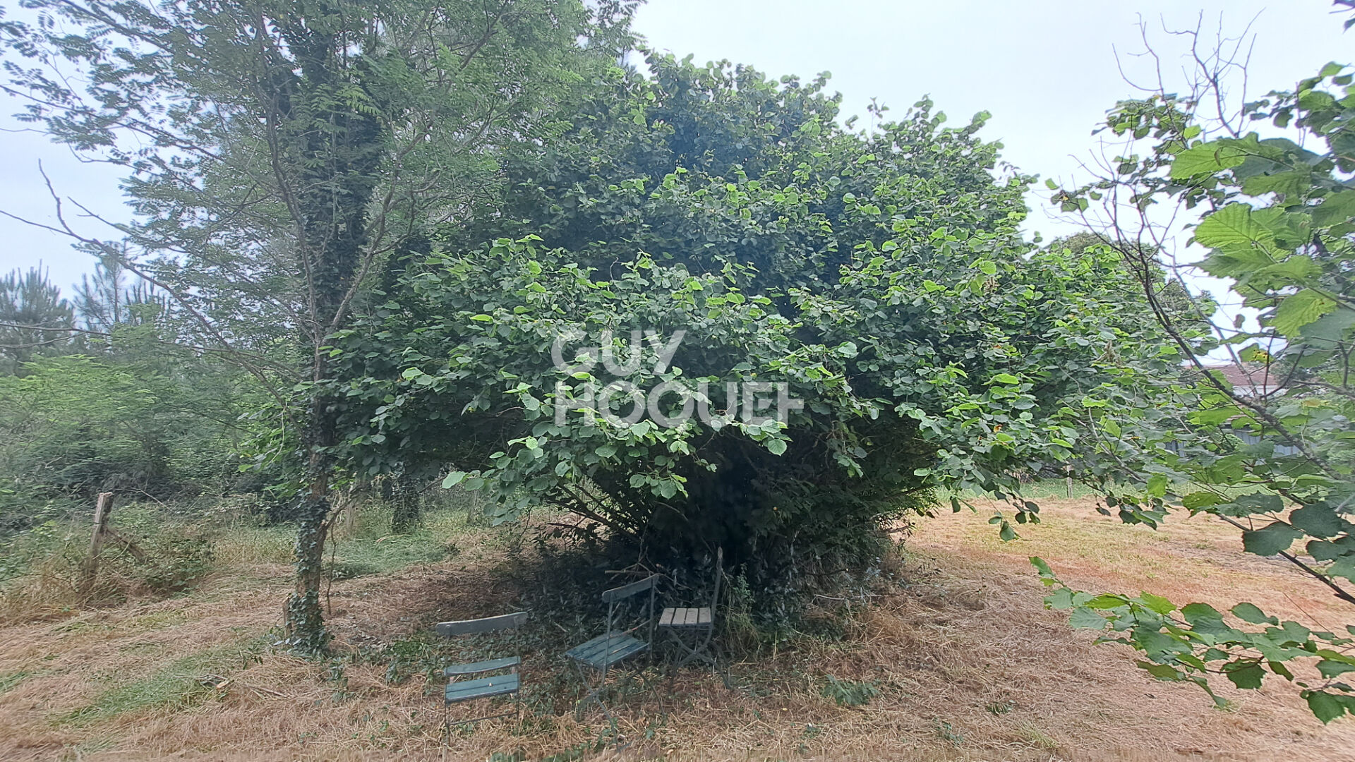 Maison à rénover RION DES LANDES (40370)