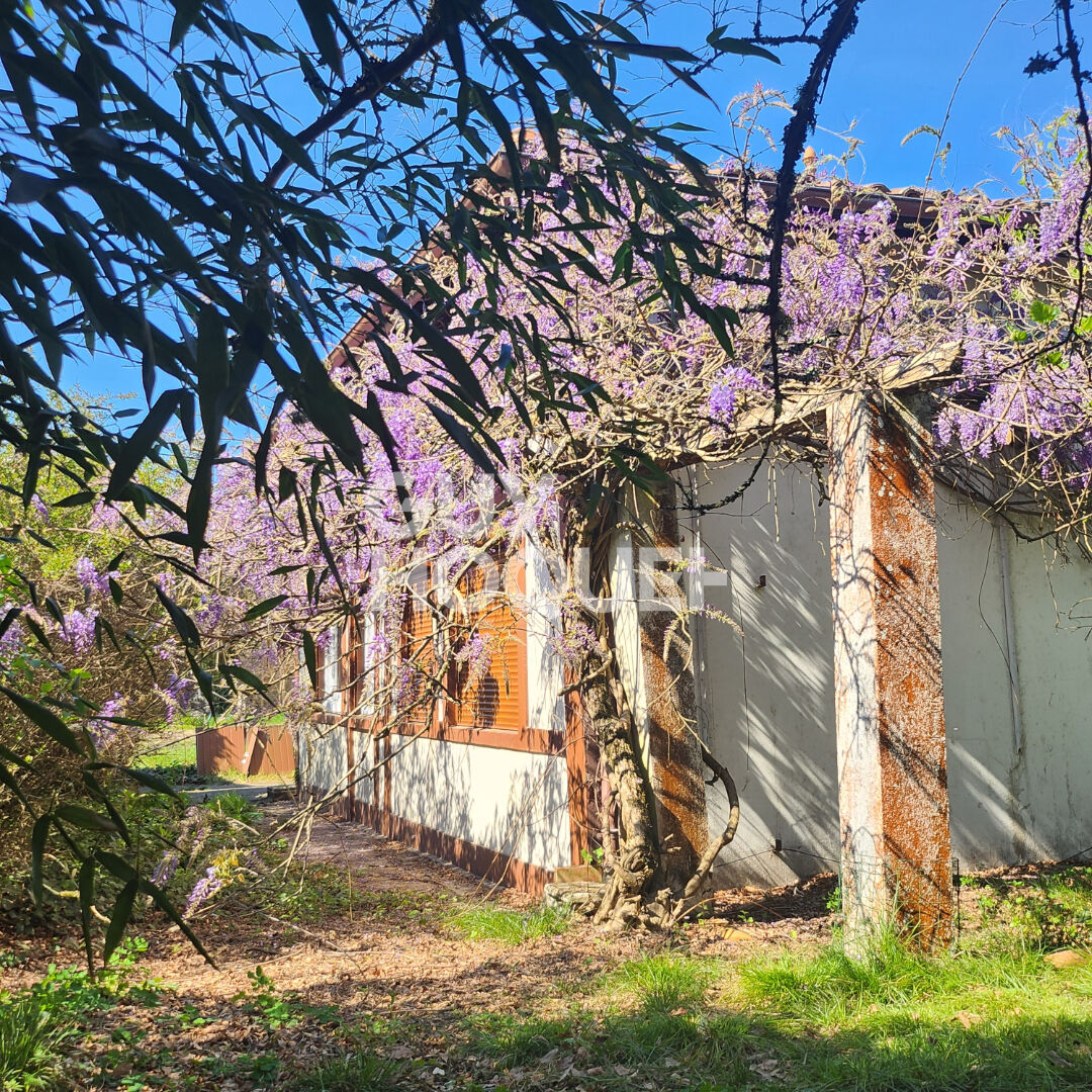 A vendre Rion-des-Landes ? Propriété avec piscine, dépendance et parc arboré de plus de 4 500 m²