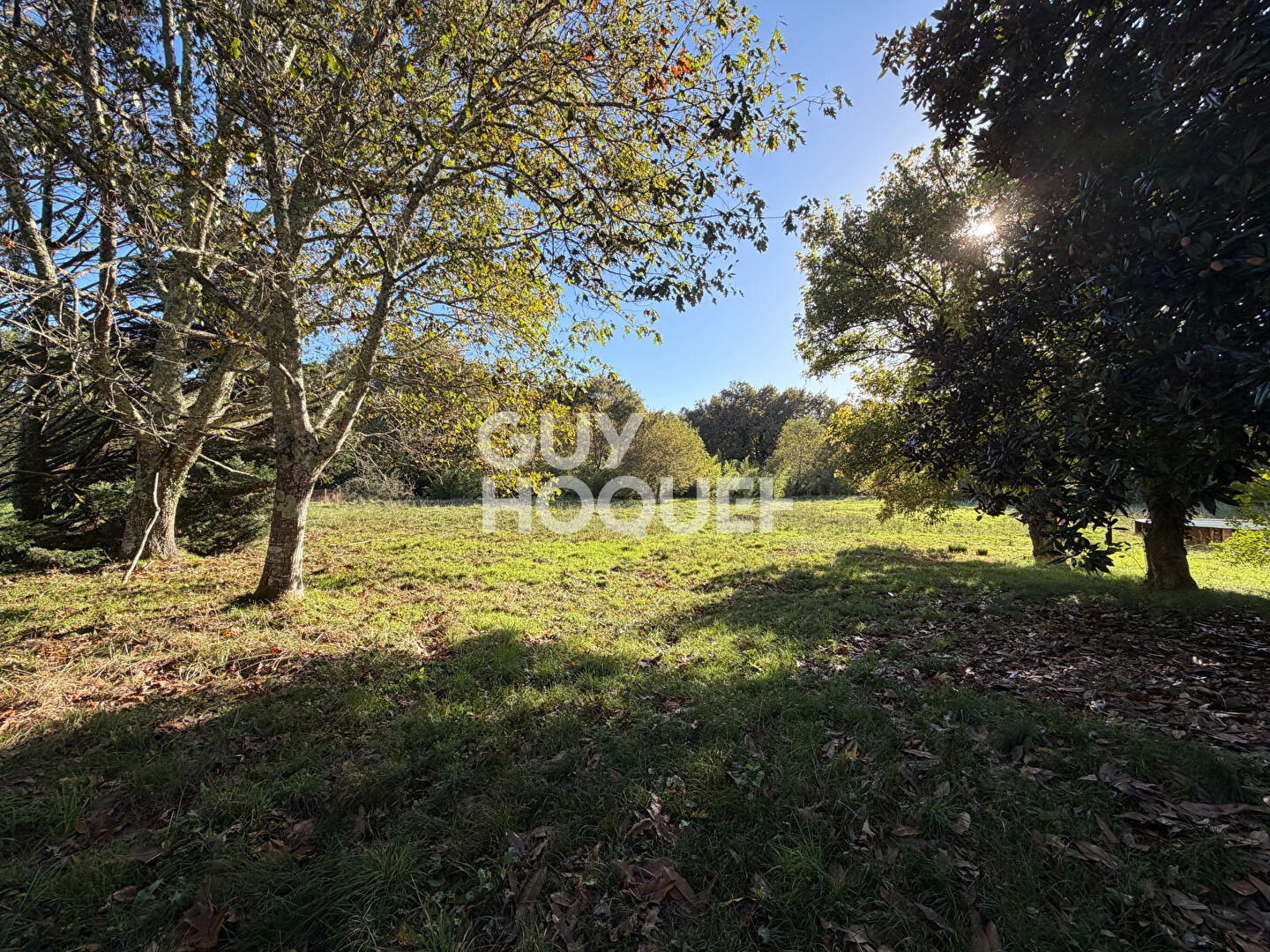 Maison de maître à vendre à Taller ( 40260)