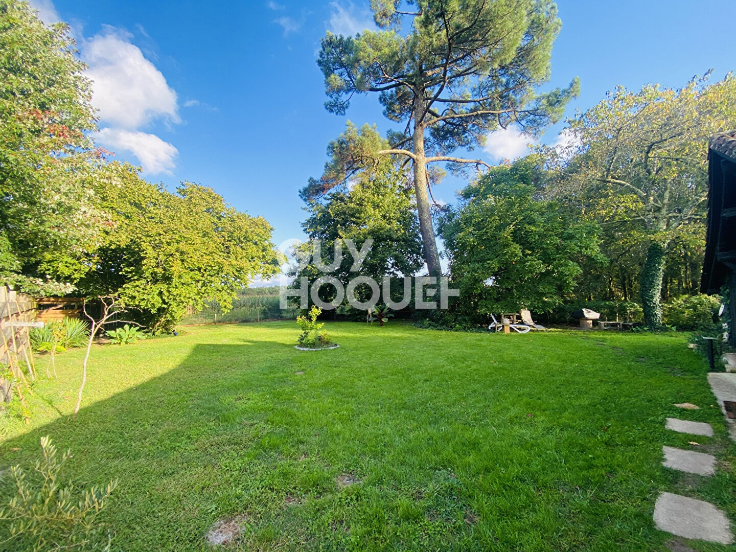 A vendre maison à Taller dans un cadre arboré (40260)