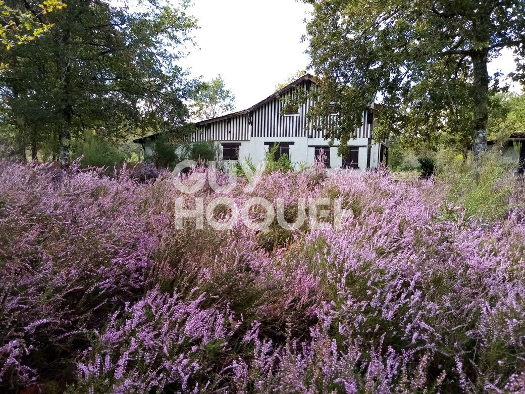 Magnifique airial en pleine forêt Maison d'environ 180m2 à RION-DES-LANDES ( 40260)
