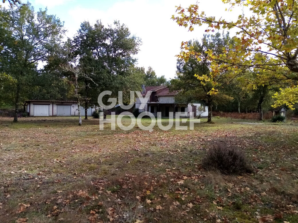 Magnifique airial en pleine forêt Maison d'environ 180m2 à RION-DES-LANDES ( 40260)