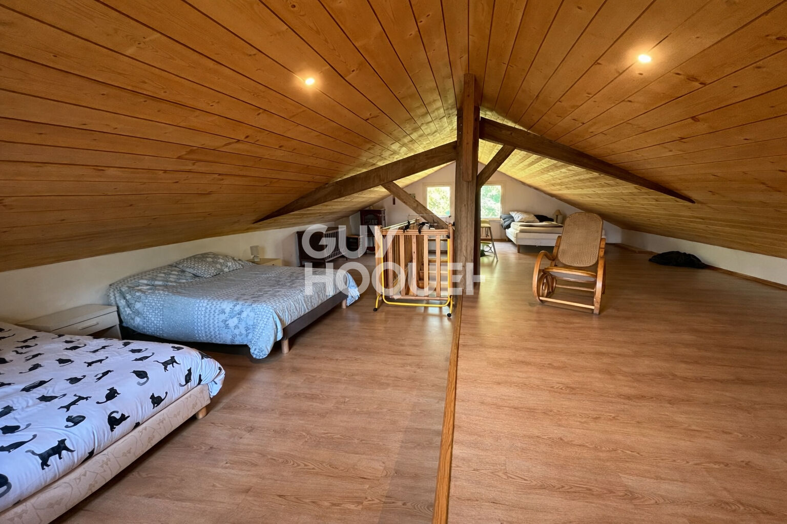 Magnifique Airial avec deux habitations à RION DES LANDES (40370)