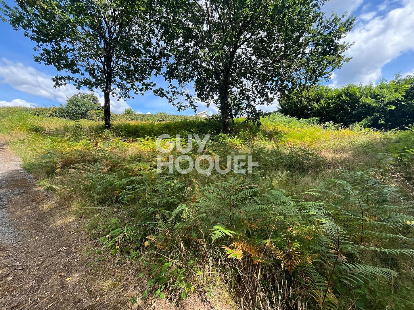 A vendre  : Terrain  de 2067m2 à Rion Des Landes ( 40370)