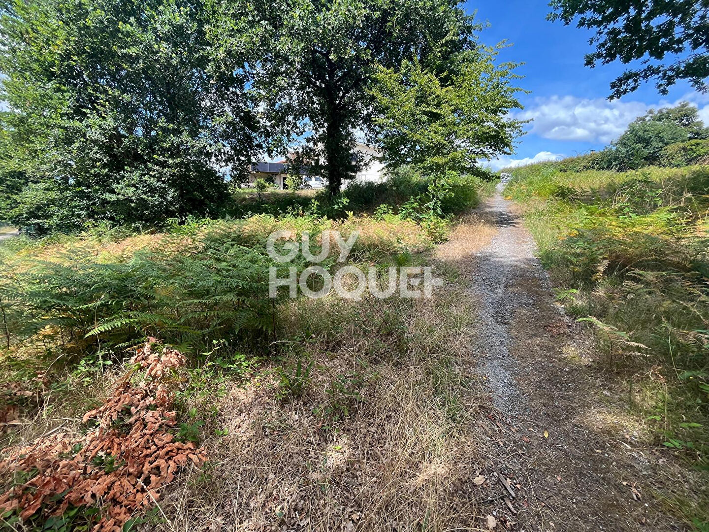 A vendre  : Terrain  de 2067m2 à Rion Des Landes ( 40370)