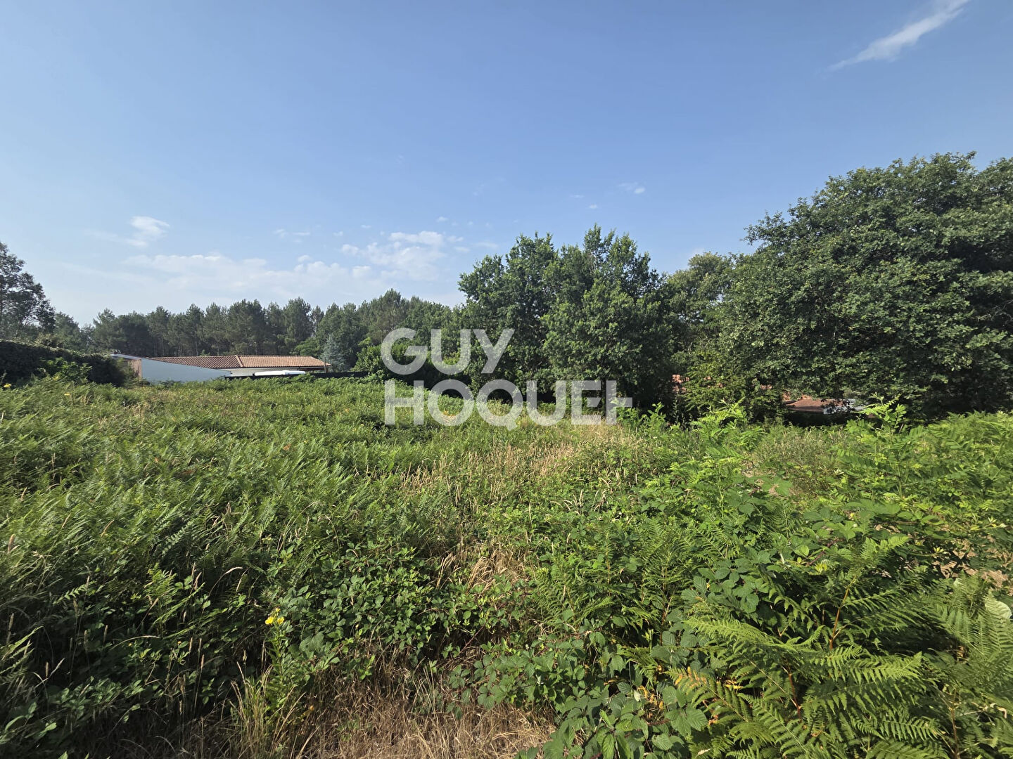 A vendre  : Terrain  de 2067m2 à Rion Des Landes ( 40370)