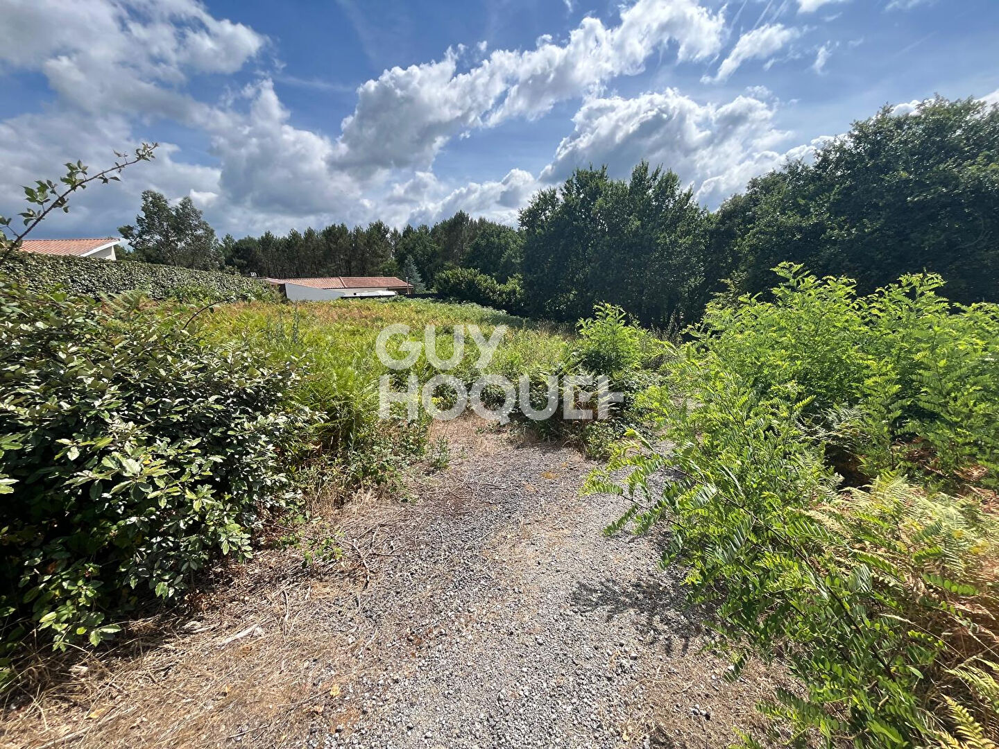 A vendre  : Terrain  de 2067m2 à Rion Des Landes ( 40370)