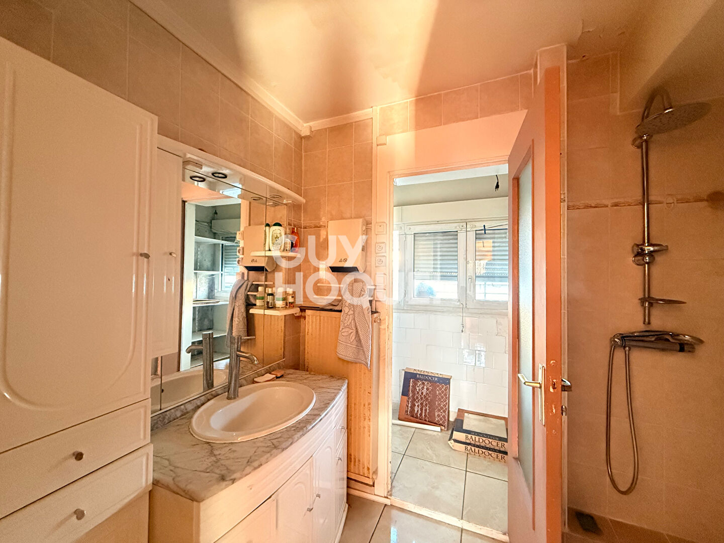 Appartement Villeurbanne 3 pièce(s) 66.5m2