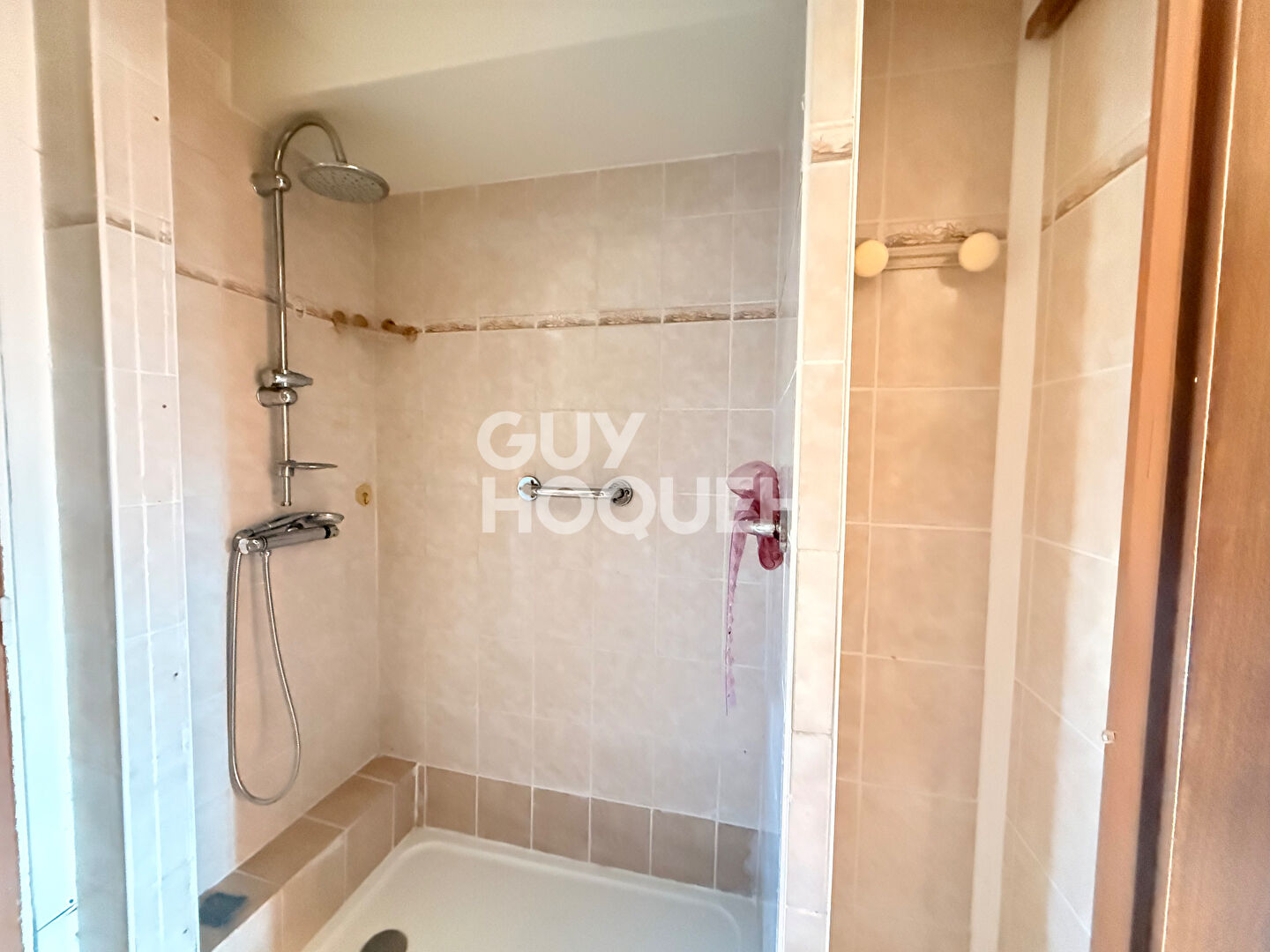 Appartement Villeurbanne 3 pièce(s) 66.5m2