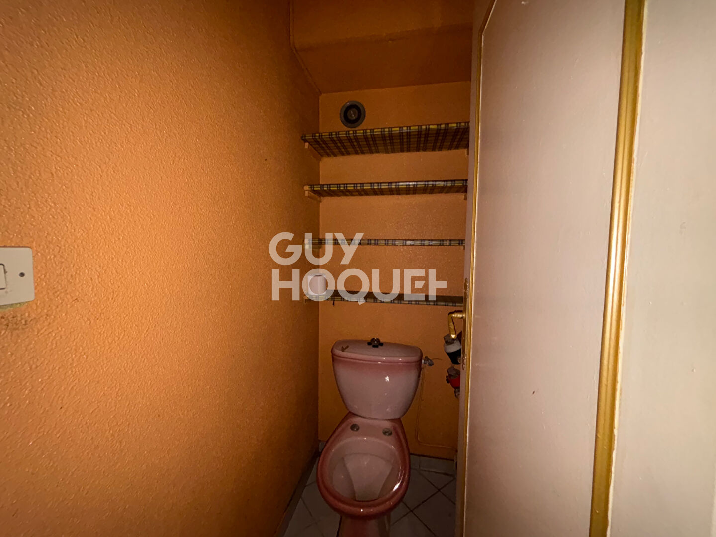 À vendre : Appartement spacieux de 79 m²  avec garage à Villeurbanne - Opportunité à saisir !