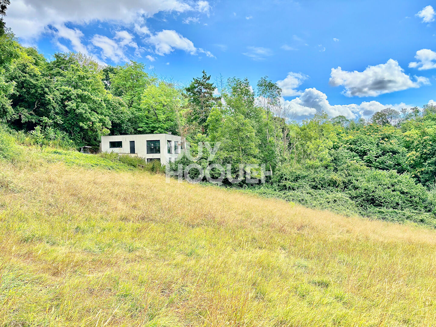 Maison moderne à vendre à Fleurieu-sur-Saône - Un cadre de vie exceptionnel !