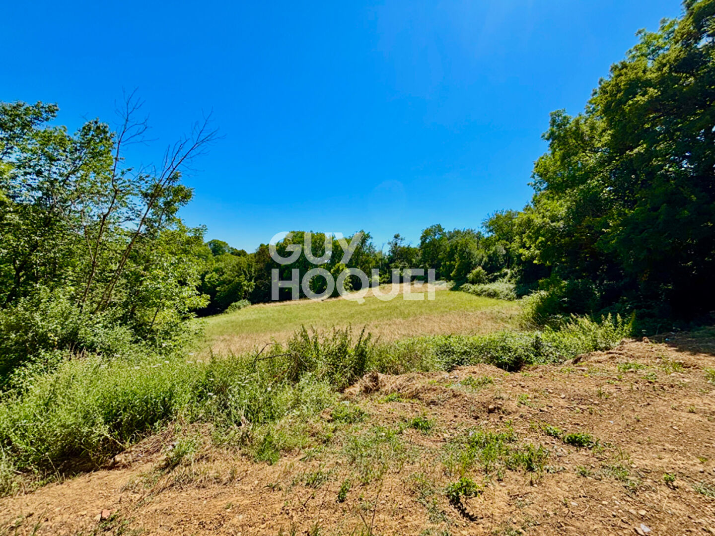 Maison moderne à vendre à Fleurieu-sur-Saône - Un cadre de vie exceptionnel !