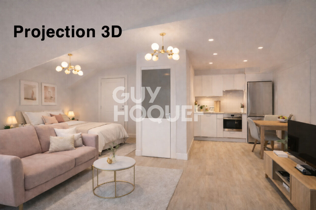 À vendre : Appartement T1 lumineux à Lyon, quartier Valmy