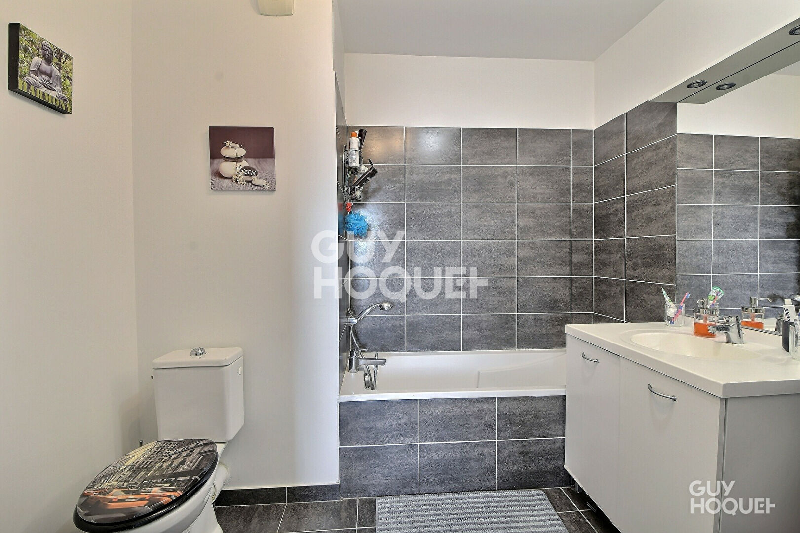À VENDRE, Appartement T4 de 78 m²,  triple exposition, avec Terrasse de 48 m² & Garage double, Proximité Place Ronde , VILLEURBANNE (69100)