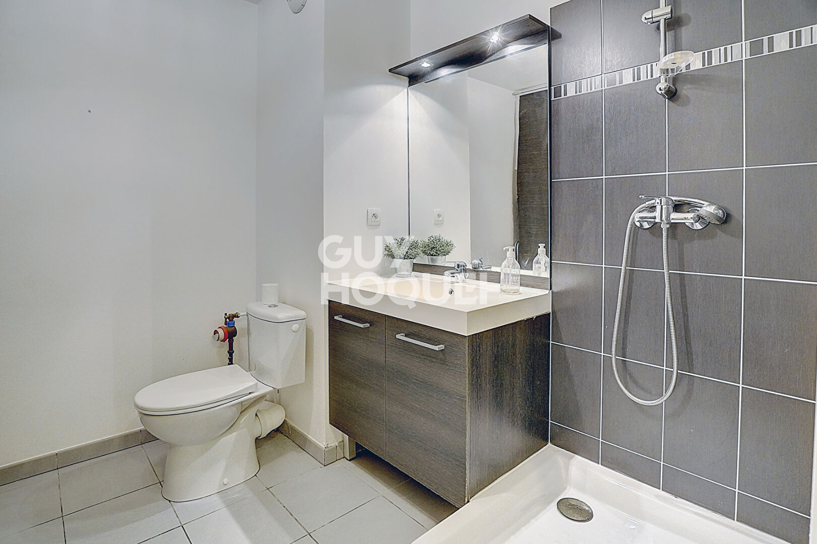 À vendre : Appartement 3 pièces à Vaulx-en-Velin - Le Pont des Planches