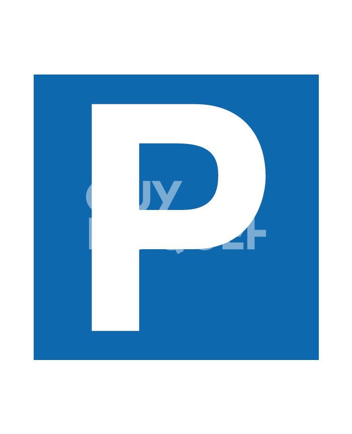 PLACE DE PARKING EN SOUS SOL