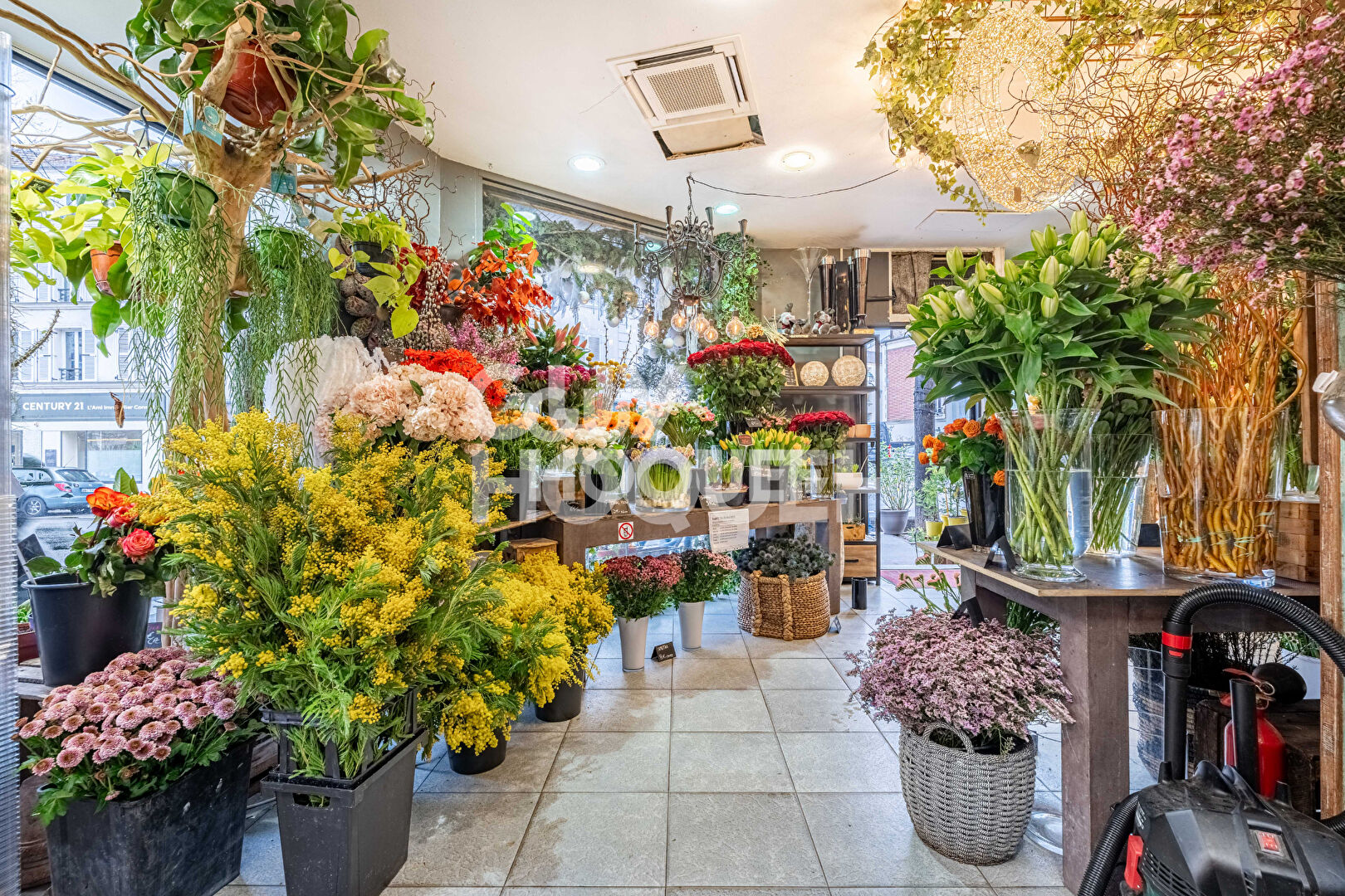 Murs de boutique Asnières Sur Seine