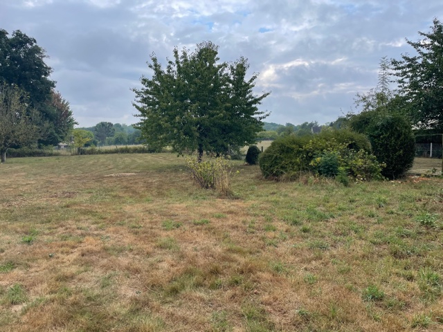 Rare dans la vallée de l'oison