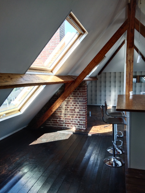 Spacieux meublé de 50m2 au sol avec place de parking