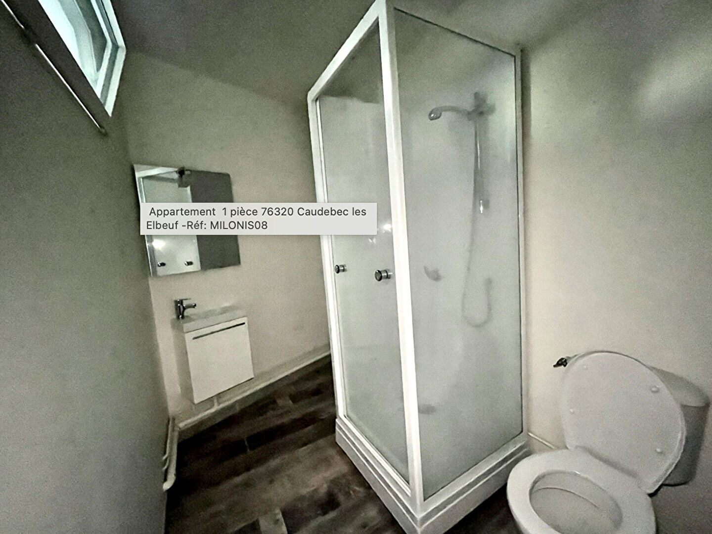 Immeuble Caudebec Les Elbeuf 4 pièces