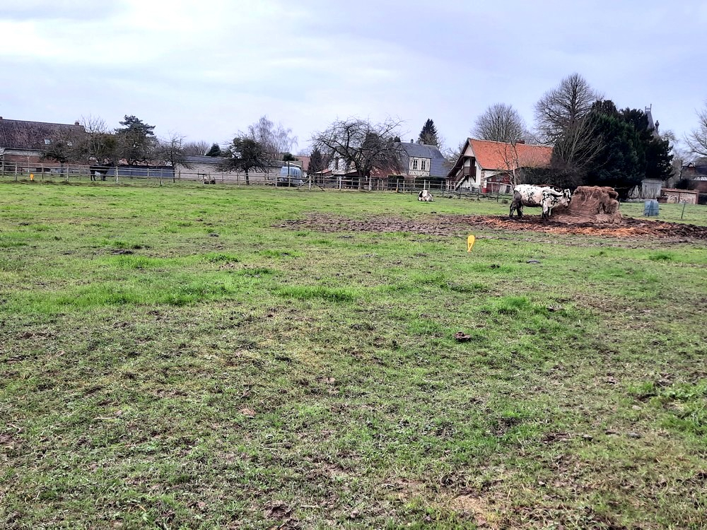 TERRAIN A BATIR de  1 360 m2