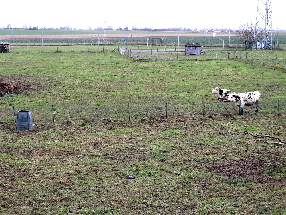 TERRAIN A BATIR de  1 360 m2