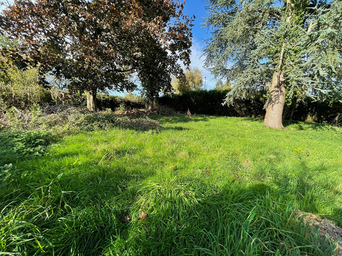 Terrain La Harengere 850 m²