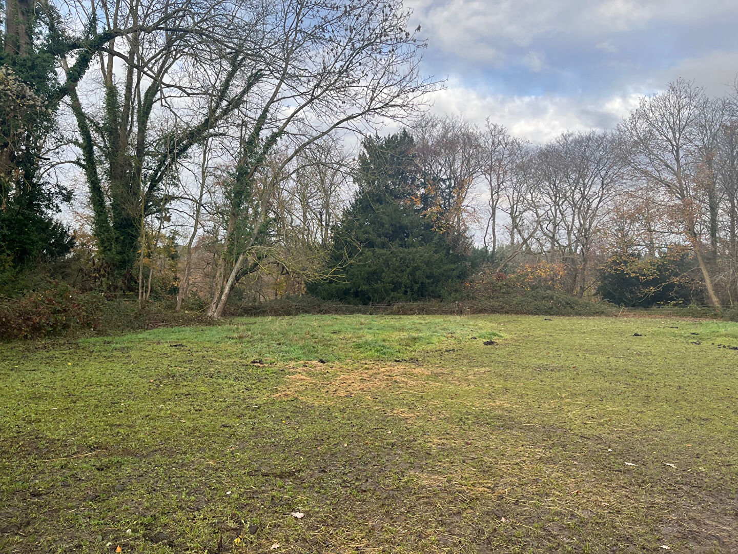 Terrain à vendre au Mesnil-Jourdain - Un écrin de nature à Louviers