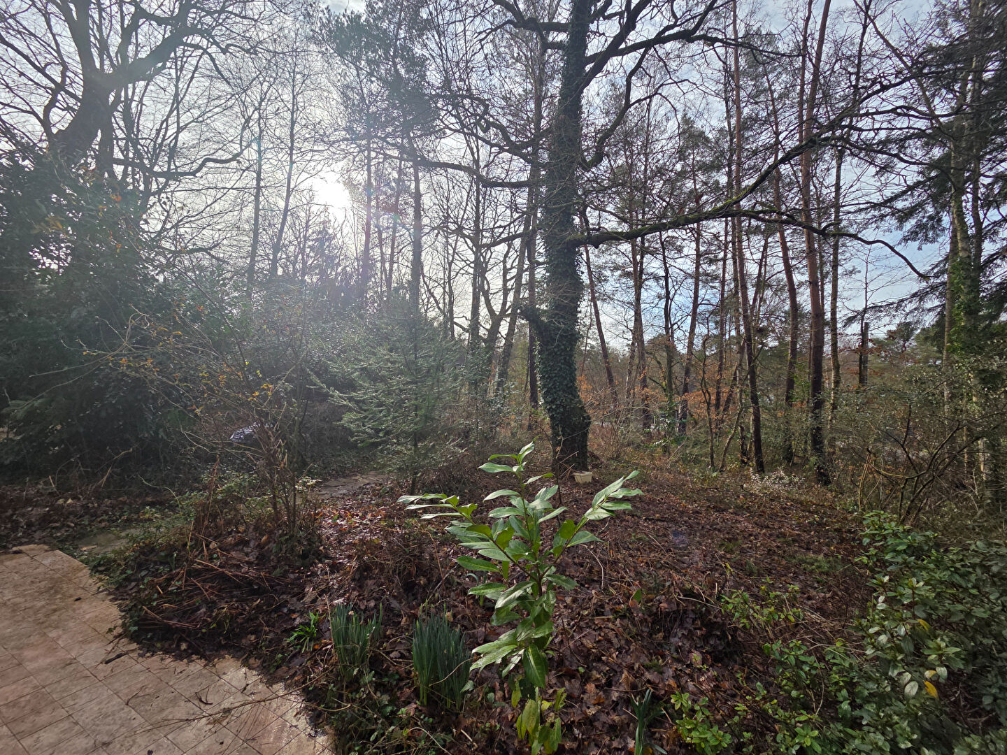 Maison Thenouville 3 pièce(s)