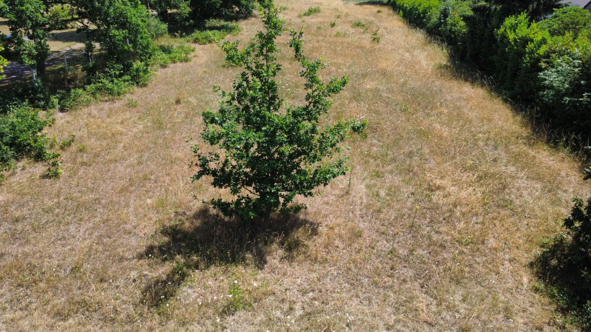 Terrain Yville Sur Seine 7514 m2