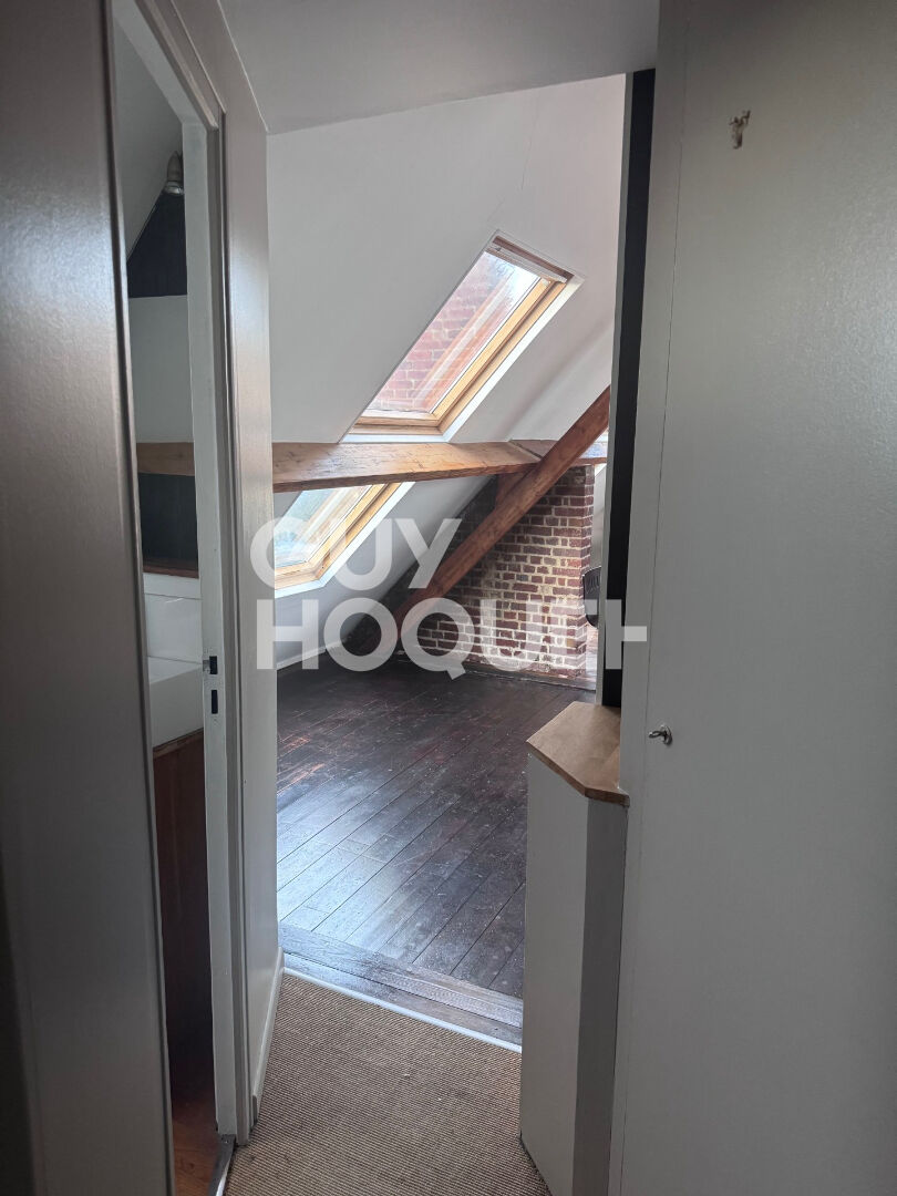 Spacieux meublé de 50m2 au sol avec place de parking