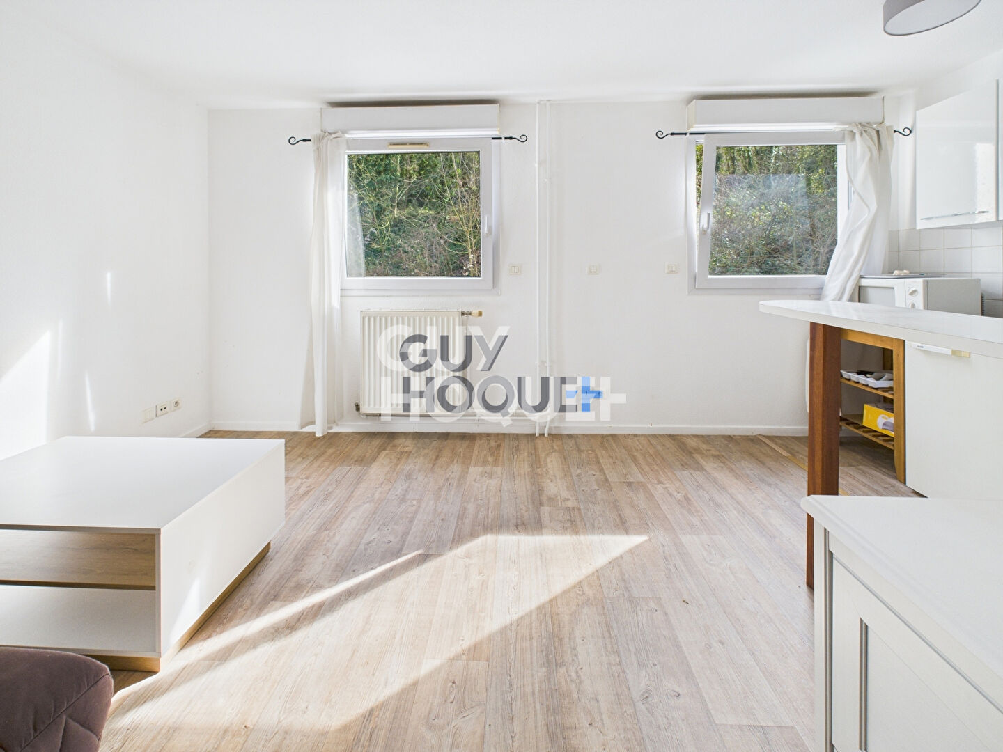 Appartement Rouen 1 pièces 30m² Meublé